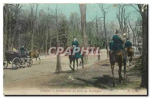 Cartes postales Paris Promenade du Bois de Boulogne