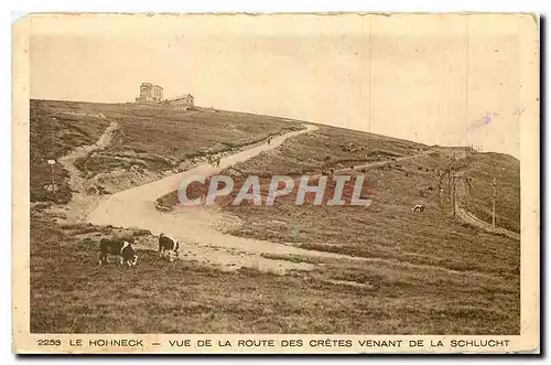 Ansichtskarte AK Le Hohneck Vue de la Route des Cretes venant de la Schlucht