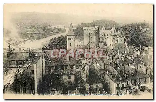 Cartes postales Pau Vue panoramique Le Chateau et le Gave