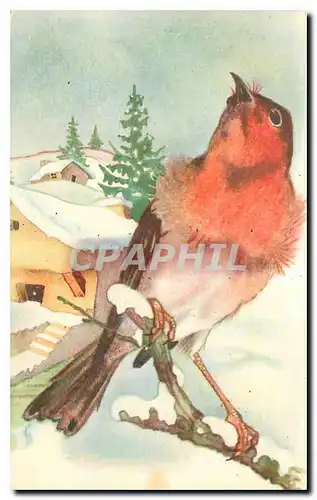 Cartes postales moderne Oiseau Le rouge gorge