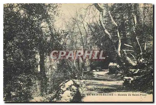 Cartes postales La Sainte Baume Montee du Saint Pilon