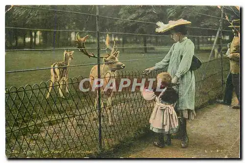 Cartes postales Lyon Le parc les daims