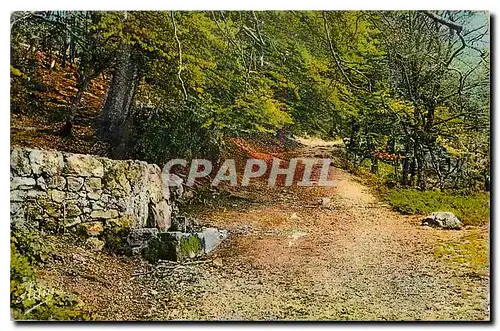 Cartes postales La Sainte Baume Var La Fontaine de Nans