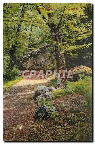 Cartes postales Hotellerie de la La Sainte Baume Zacharie Var