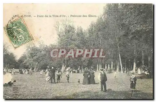 Cartes postales Lyon Parc de la Tete d'Or Pelouse des Ebats