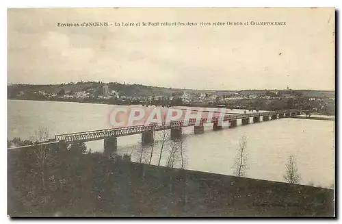 Cartes postales Environs d'Ancenis La Loire et le Pont reliant les deux rives entre Oudon et Champtoveaux