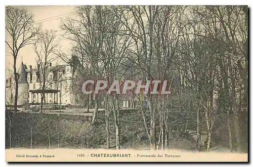 Cartes postales Chateaubriant Loire Inf Promenade des Terrasses