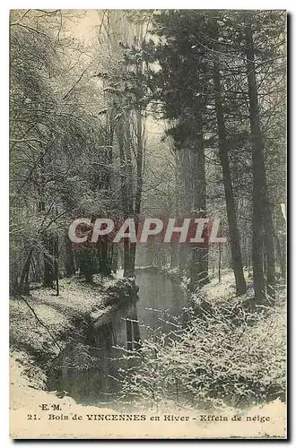 Cartes postales Bois de Vincennes en Hiver Effets de neige