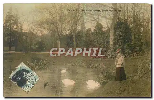 Ansichtskarte AK Nantes Jardin des Plantes Bassin aux Cygnes