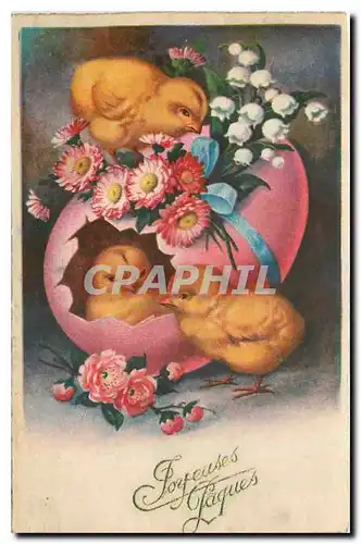 Cartes postales Poussins P�ques