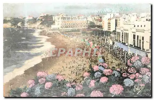 Ansichtskarte AK Biarritz B P Les Hortensias La Grande Plage