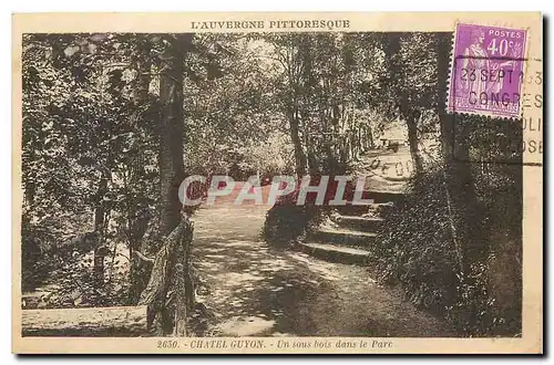 Ansichtskarte AK Chatel Guyon In sous bois dans le Parc