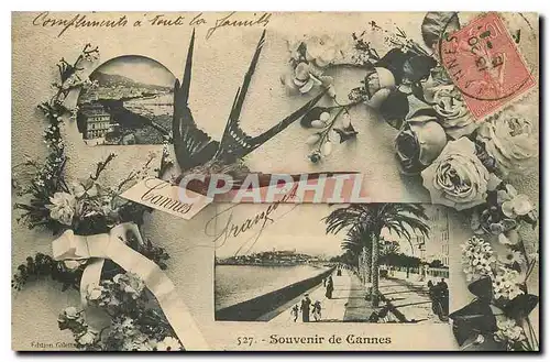 Cartes postales Souvenir de Cannes