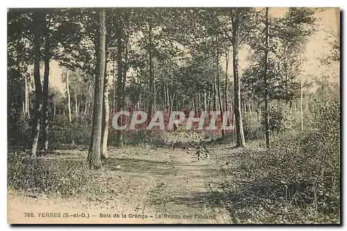 Ansichtskarte AK Yerres S et O Bois de la Grande Le Repas des Faisans