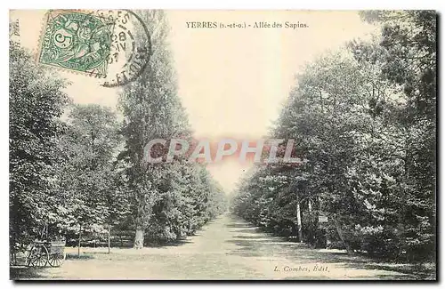 Cartes postales Yerres S et O Allee des Sapins