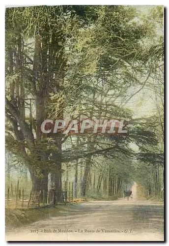 Cartes postales Bois de Meudon Route de Versailles
