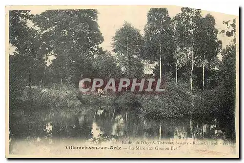 Ansichtskarte AK Villemoisson sur Orge La Mare aux Grenouilles