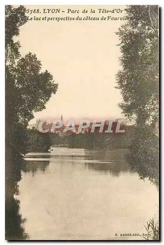 Cartes postales Lyon Parc de la Tete d'Or Le Lac et perspective du coteau de Fourviere
