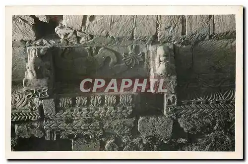 CARTE PHOTO Archeologie