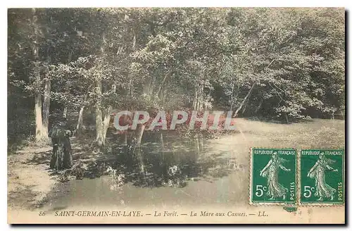 Ansichtskarte AK Saint Germain en Laye La Foret La Mare aux Cannes