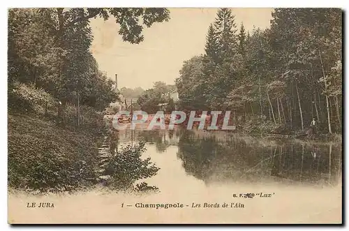 Cartes postales Le Jura Champagnole Les Bords de l'Ain