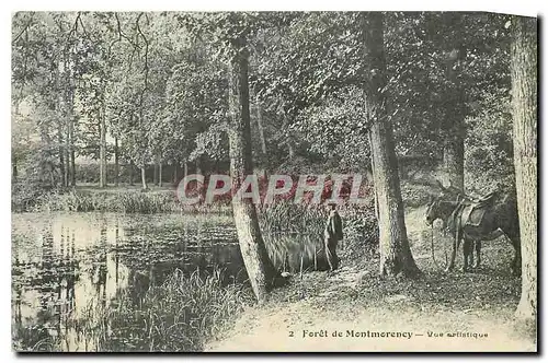 Cartes postales Foret de Montmorency Vue artistique