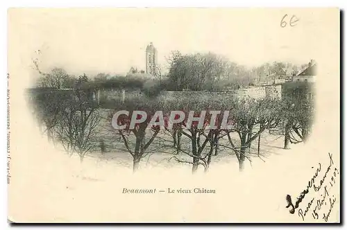 Cartes postales Beaumont Le Vieux Chateau