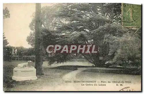 Cartes postales Montmorency Parc de l'Hotel de Ville Le Cedre du Liban