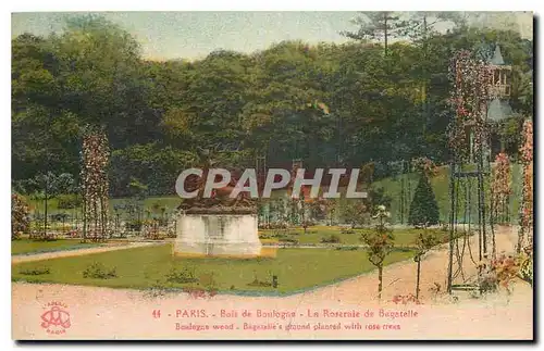 Cartes postales Paris Bois de Boylogne La Roseraie de Bagatelle