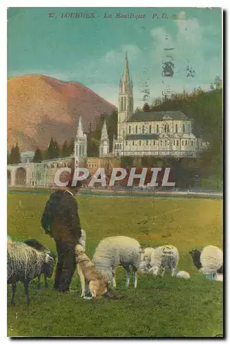 Cartes postales Lourdes La Basilique Berger Moutons