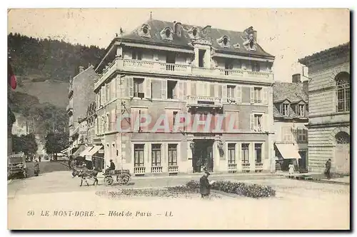 Ansichtskarte AK Le Mont Dore Hotel de Paris Attelage Mule Ane