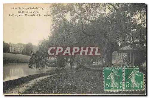 Cartes postales Boissy Saint Leger Chateau du Piple l'Etang aux Cannards et la Pelouse