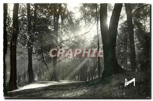 Moderne Karte Images de France En flanant au Bois de Vincennes Brume ensoleillee