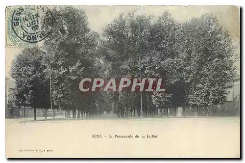 Ansichtskarte AK Sens La Promenade du 14 Juillet