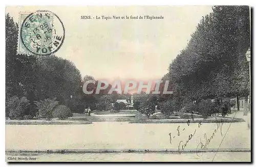 Cartes postales Sens Le Tapis Vert et le Fond de vl'Esplanade