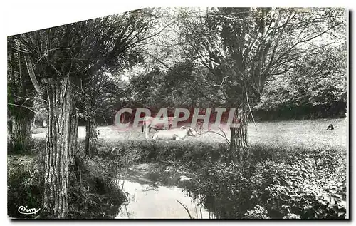 Moderne Karte Villecresnes S et O Bords du Reveillon Vaches