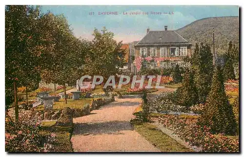 Cartes postales Saverne le Jardin des Roses