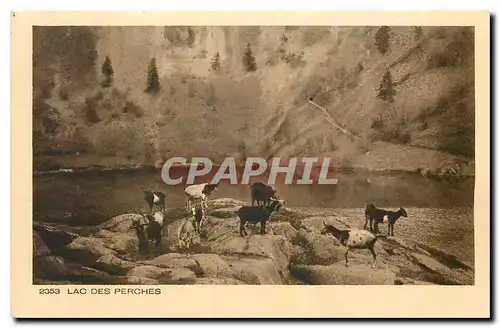 Cartes postales Les Beaux sites de Frances Lac des Perches Chevres