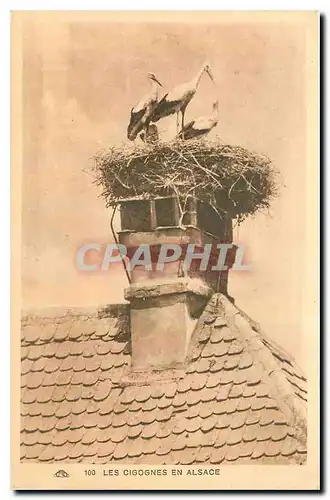 Cartes postales Les Cigognes en Alsace