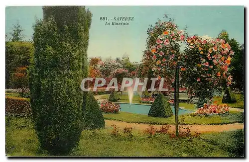 Cartes postales Saverne la Roseraie