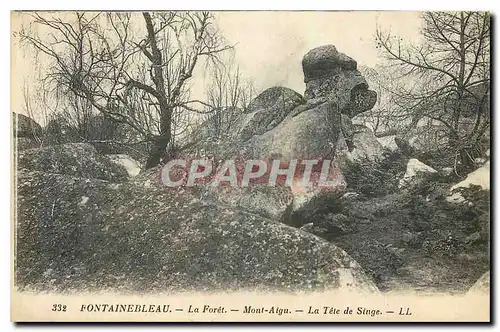 Ansichtskarte AK Fontainebleau la Foret Mont Aigu la Tete de Singe