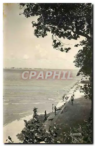 Cartes postales Saint Valery sur Somme l'Estuaire de la Somme
