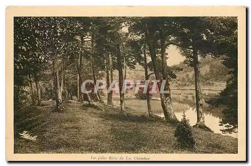 Ansichtskarte AK Les jolies Rives du Lac Chamban