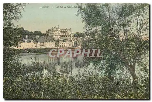 Cartes postales Amboise Vue sur le Chateau