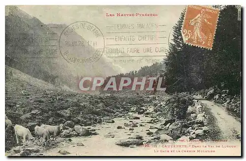 Cartes postales Les hautes Pyrenees Cauterets Dans le Val de Lutour