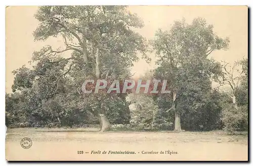 Ansichtskarte AK Foret de Fontainebleau Carrefour de l'Epine