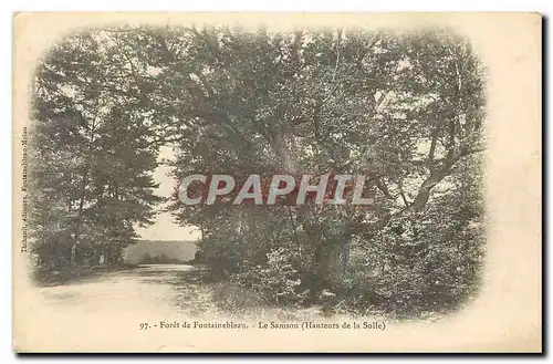 Cartes postales Foret de Fontainebleau Le Samson Hauteurs de la Solle