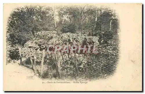 Ansichtskarte AK Foret de Fontainebleau Roche Epogne