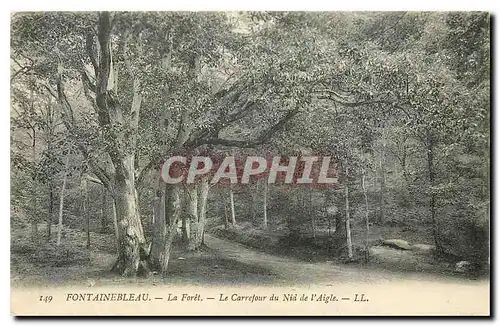 Ansichtskarte AK Fontainebleau La Foret Le Carrefour du Nid de l'Aigle