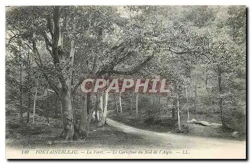 Ansichtskarte AK Fontainebleau La Foret Le Carrefour du Nid de l'Aigle